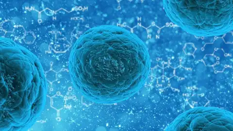 Davos to discuss Disease X, which is likely to exceed COVID death toll rate 20 times