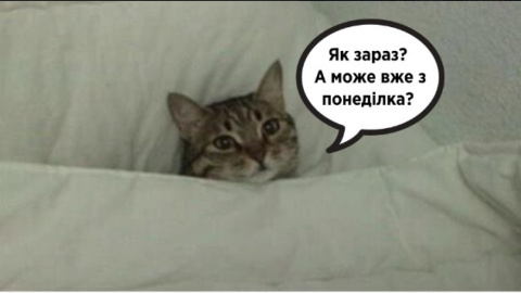 Как начать достигать цели. Фото: facebook.com/ulanasuprun