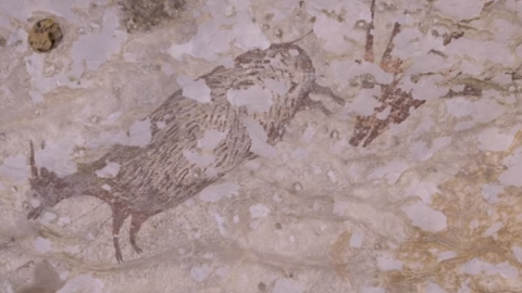 Скриншот: youtube/Griffith University