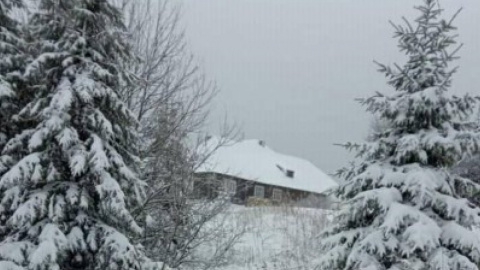 Снег в Карпатах. Фото: Александр Голобин