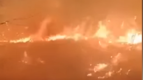 Пожежа у селі. Скріншот відео