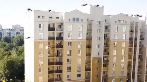 На Киевщине застройщик ЖК "Чайка" шантажирует жителей отключением тепла, - СМИ
