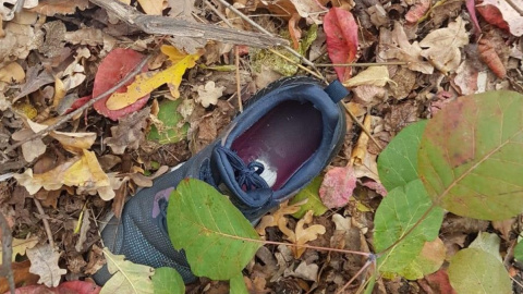 Вбивство дівчинки в Одесі. Фото: Нацполиция