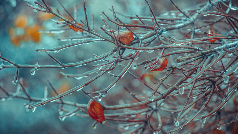 Синоптик Виталий Постригань предупредил о вторжении холодного фронта. Фото: pixabay