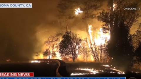Пожежа в Каліфорнії. Скріншот відео CBS Evening News