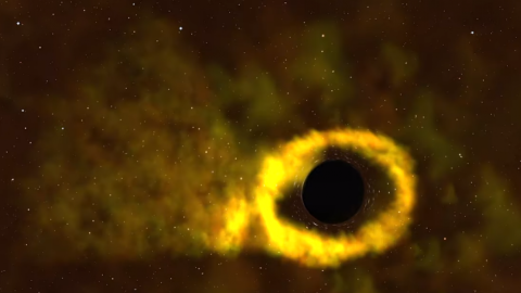 NASA опубликовало видео, как черная дыра разрывает ближайшую к ней звезду, размером с Солнце