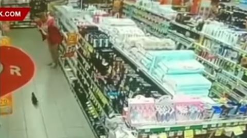 У Дніпрі білка забігла в супермаркет, розкидала товари і налякала продавців