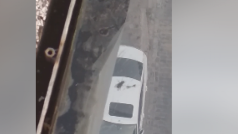 У скандальному пішохідному мосту в Києві завелись мухи: їх видно під склом
