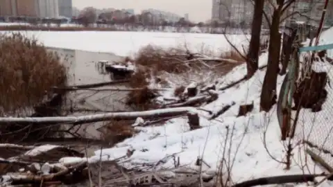 Температура воды в месте сброса загрязненных вод достигает +11 градусов. Фото: darg.gov.ua