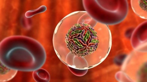 У 40 диагноз подтвердился. Фото: healthvesti.com