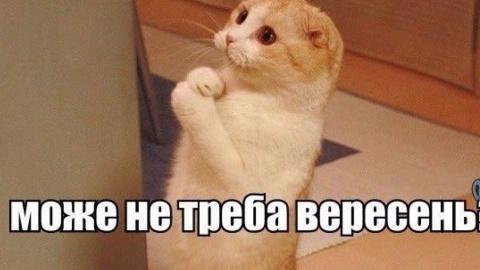 Лето кончилось. Фото: соцсети