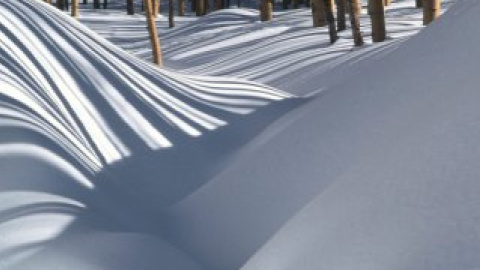 Злочинець зарив себе по горло в сніг.