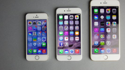 Поклонники готовы на любые жертвы ради iPhone