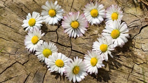  Прогноз погоды в Украине Фото: pixabay