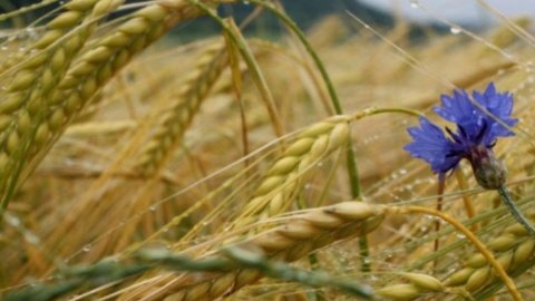 Сегодня отмечается день святого пророка Ильи