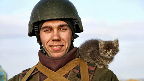 Украинские военные с четвероногими друзьями. Фото: штаб ООС