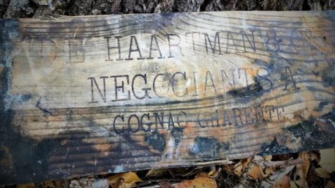 В Балтийском море нашли почти тысячу бутылок элитного коньяка и ликера 100-летней давности
