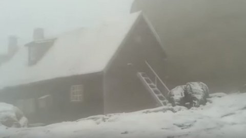Снег в Карпатах Румынии. Скриншот видео Mukachevo.net