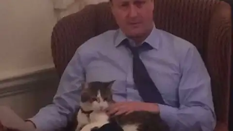 Кэмерон с котом. Фото: twitter.com/David_Cameron