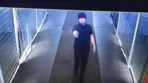 Поліція затримала кавказців, що обстріляли плавучий ресторан у Печерському районі Києва