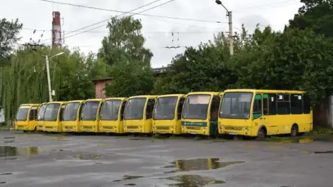 Автобуси "Богдан". Фото: "Конкурент"