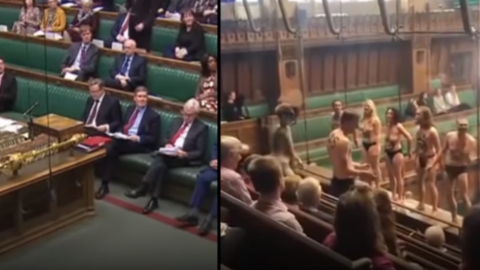 У парламент Британії на дебати щодо Brexit прийшли наполовину голі захисники природи