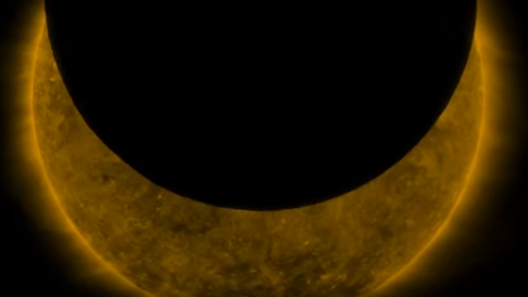 Відео дня: у NASA показали, як Місяць пройшов перед Сонцем, майже повністю закривши його
