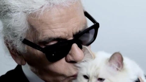 Лагерфельд просив перед смертю його кремувати і розвіяти прах. Фото: instagram.com/choupettesdiary