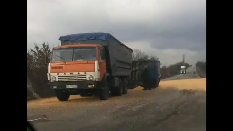 Траса засіяна кукурудзою. Скріншот відео. 