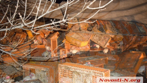 Той, що перекинувся автомобіль повністю заблокував дві смуги руху в напрямку Нової Одеси.