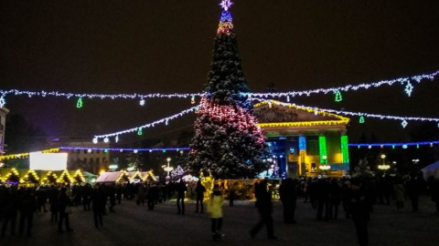 В этом году елка Тернополя горит сине-розовыми цветами. Фото: "Терноград"