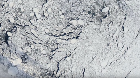 В NASA предупредили о том, что многолетние льды в Арктике почти растаяли