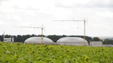 Від слів до дії: екологічна відповідальність підприємств групи МХП