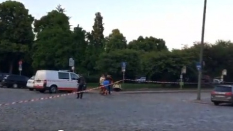 У Німеччині в поїзді сталася сварка: 1 людина загинула, жінка-поліцейський поранена
