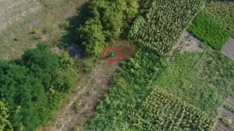 Чоловік намагався сховатися від дрона в заростях городів. Фото: facebook.сом/djіkyiv