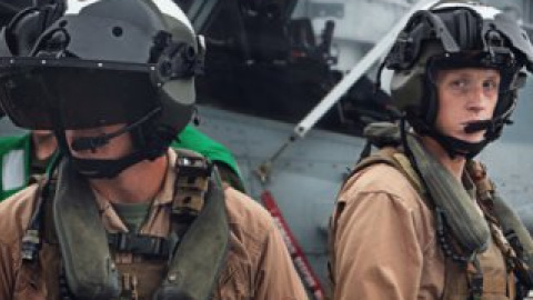Тварину зарахували на базу морських піхотинців як засіб пет-терапії.