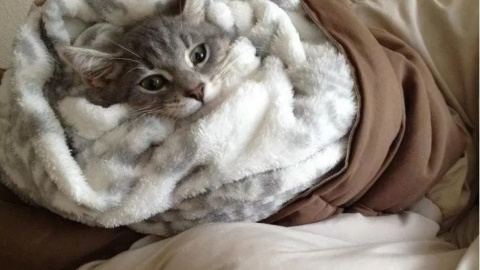 В Киеве ночью температура упадет почти до нуля. Фото: соцсети