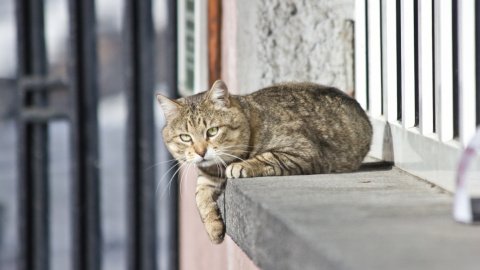 В День святого Валентина в Украине снег с дождем и гололедица