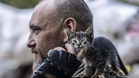 Коти підтримують військових на службі. Фото: 93-тя ОМБр Холодний Яр/Facebook