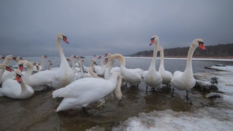Фото: facebook.com/vladimir.karchevsku