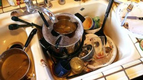 Була потрібна симпатична жінка з вищою освітою за фахом китайська мова.