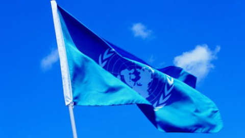 ​В ООН заявили, что с начала конфликта в Украине погибли более 6 тыс. человек