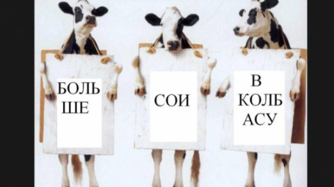 ​В России создали "антикризисную" колбасу без мяса