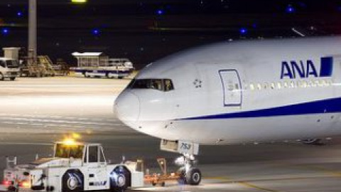 Літак авіакомпанії All Nippon Airlines (ANA).
