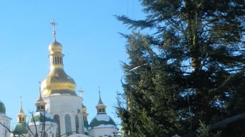 Гірлянди на новорічній красуні засвітять 19 грудня. Фото: Типовий Київ