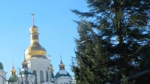 Гирлянды на новогодней красавице засветят 19 декабря. Фото: Типичный Киев