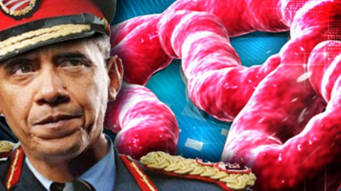 ​США победили Эболу