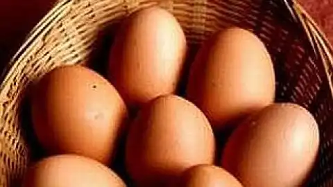 Продовольча безпека для всіх