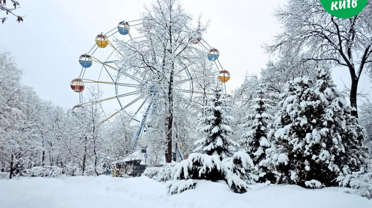 Зоопарк зимой. Фото: Киевский зоологический парк
