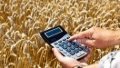 Wheat Export Prices Up 16% To USD 278.5 Per Ton In April - IndexMundi